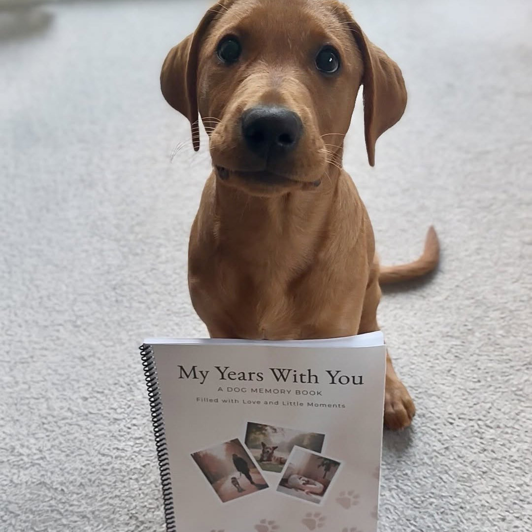 Dog memory book with puppy memories, guided keepsake pages and milestone photo spaces