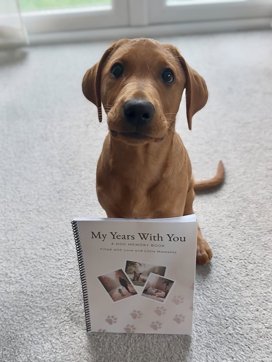 Dog memory book with puppy memories, guided keepsake pages and milestone photo spaces