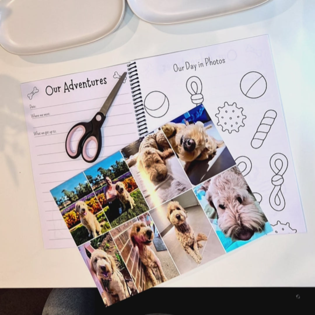 Dog memory book timelapse showing guided keepsake pages and recording adventure memories from a flower festival